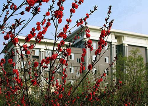 2024南昌排名前五的民辦中職學(xué)校名單